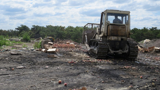 На вимогу Кремля у Сімферополі "репресовані" персики закопали в землю