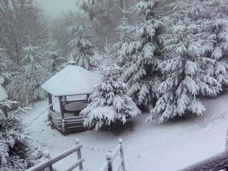 У Карпатах випав перший сніг (фото, відео)