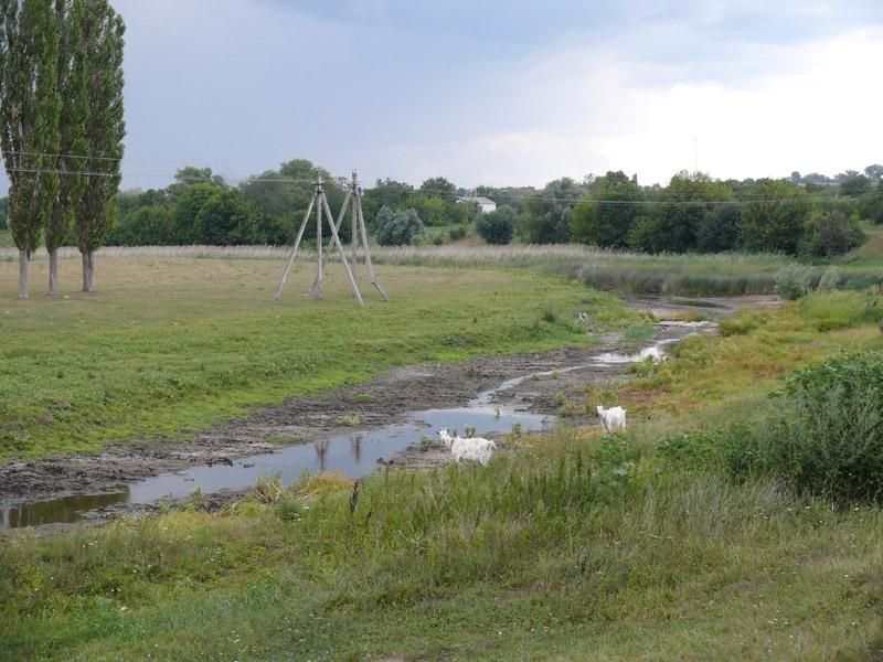 Брак води в Україні: річки роками наповнені на 20%