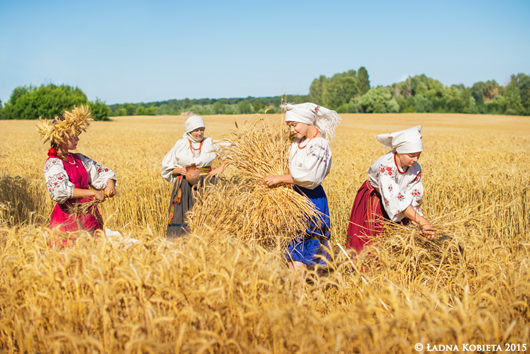 Жнивують усі: збирати ранні зернові почали в усіх регіонах України