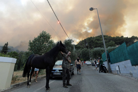 Порятунок — на пляжі: на півдні Франції лютують лісові пожежі