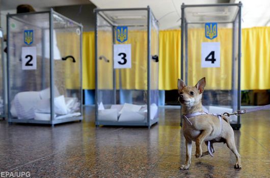 Прощавай, гречко: чому виборча реформа є першочерговою для України