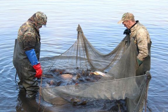 У Каховське і Запорізьке водосховища випустили майже 600 тисяч риб