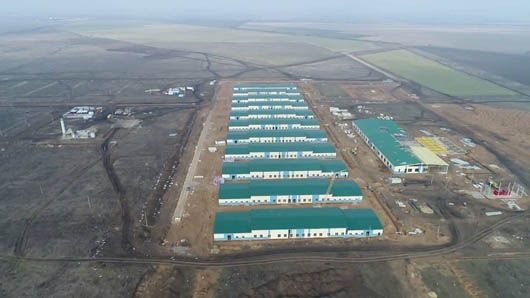 Попри все: в Україні триває будівництво унікального польового табору «Широкий Лан»