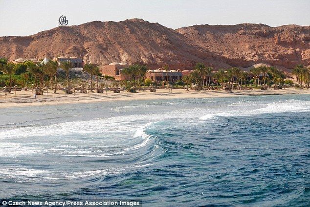 На курорті Марса-Алам у Єгипті туриста вбила акула