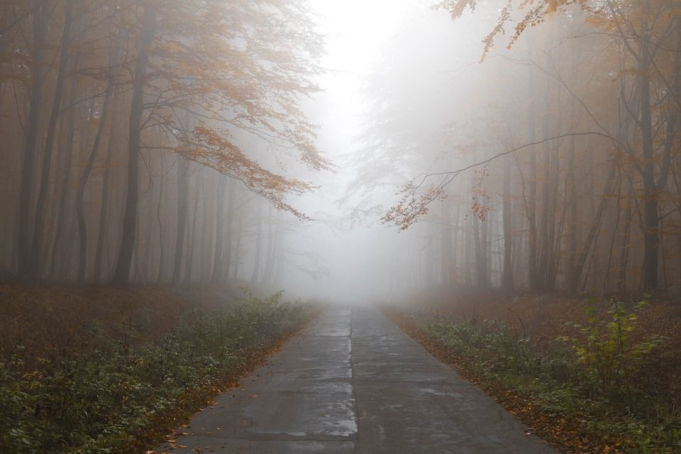 В Україні на вихідних буде туман і мряка, але тепло