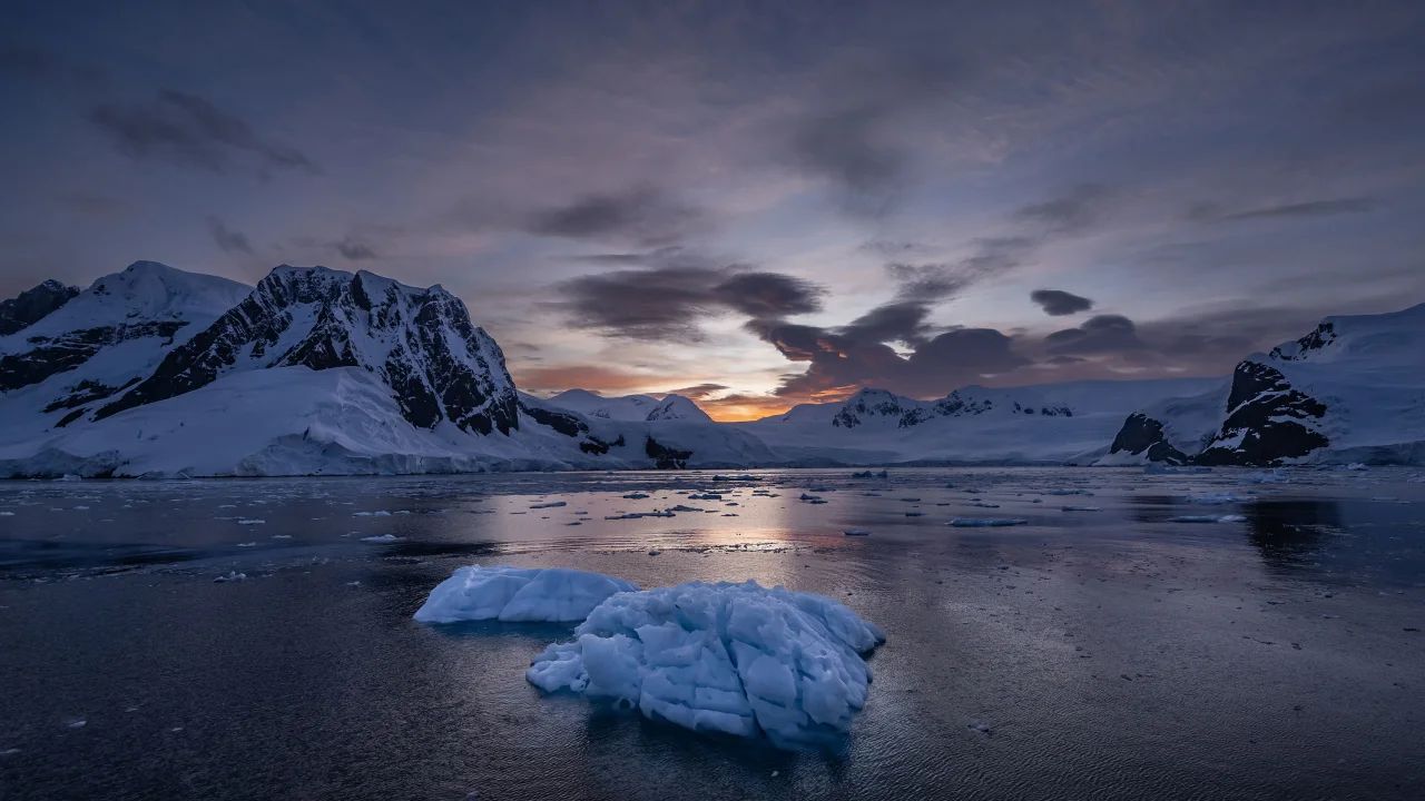 Вчені бідкаються: в Антарктиді бракує морського льоду площею з Аргентину