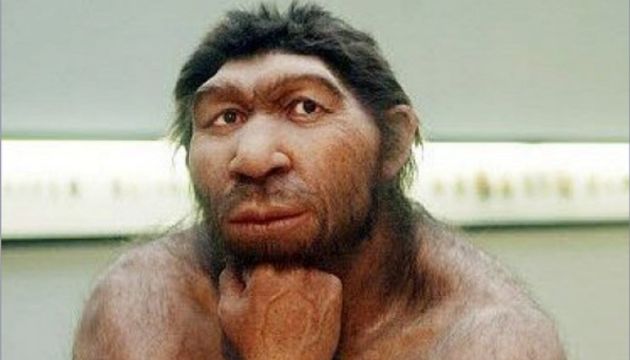 «Ген жайворонка» є спадком від неандертальців – дослідження
