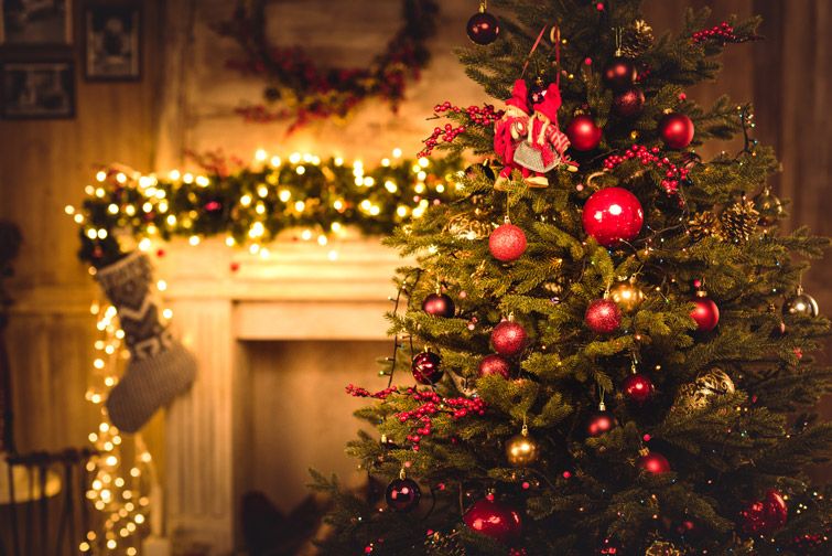 Минули роки, а традиція святкувати Різдво Христове 25 грудня в католиків та православних досі залишається.