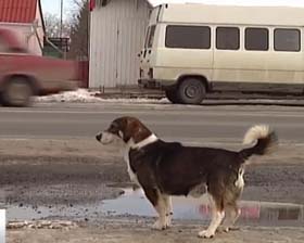 ��� ���� ��������� ������. (���� � ����� tsn.ua.)