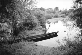 А борщ — вічний