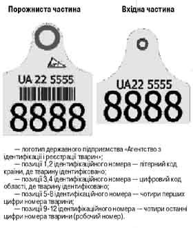 Дірка від бирки