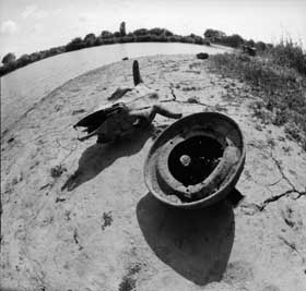 Авгієві стайні з отрутою