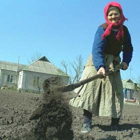 Гривня сорок за рік роботи