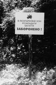 Чим далі в ліс, тим зліші вогнеборці