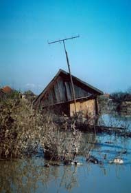 Без води — ні життя, ні біди