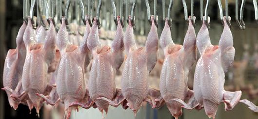 Рахуватимемо по осені: ціни на куряче м'ясо виростуть на 10 відсотків
