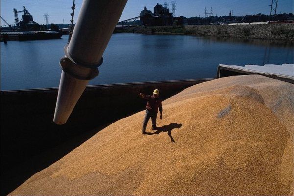 Україна експортувала агропродукції більш як на 4,5 мільярда доларів