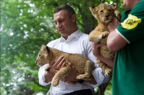 Віталій Кличко хоче зробити зоопарк візитною карткою Києва