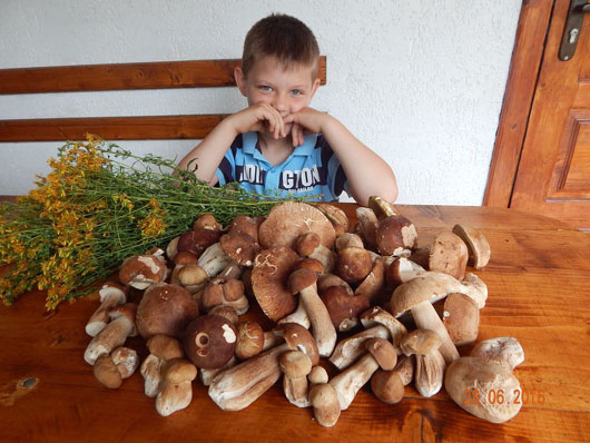 Їж пиріг iз грибами — тримай язик за зубами!