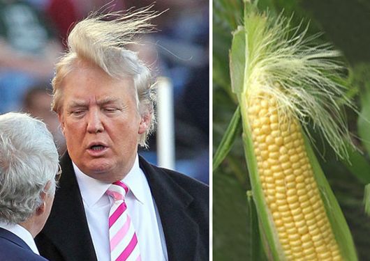 На дуель: Уоррен Баффет закликав Дональда Трампа обнародувати податкову декларацію