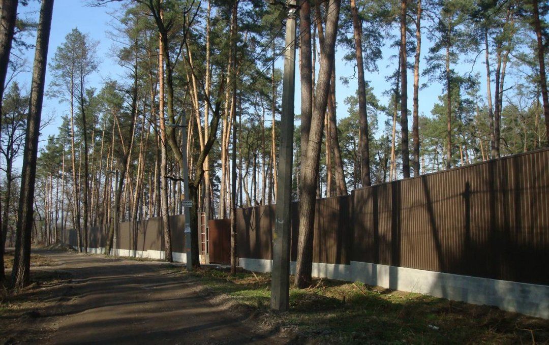 Суд арештував майже 900 гектарів лісу в Бучі