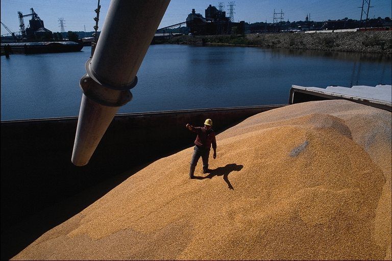 На зернових експортери України виторгували 3 млрд доларів