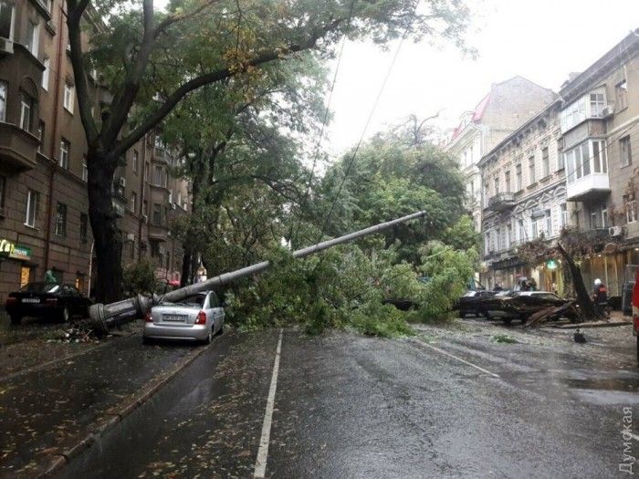 Буревій в Одесі валив дерева і стовпи (фото, відео)