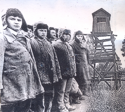 Дружина в'язня ГУЛАГу Авраама Шифрiна: Він листувався з українськими націоналістами і після визволення