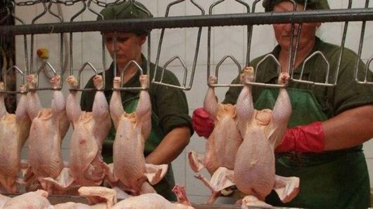 Польща вирішує свої соціальні проблеми за рахунок заробітчан з України