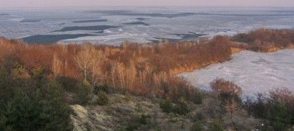 Для будівництва скандальної Канівської ГАЕС вирубають 1000 гектарів лісу