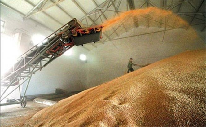 Зерно на продаж і про запас: Україна вже експортувала понад 20 млн тонн зерна