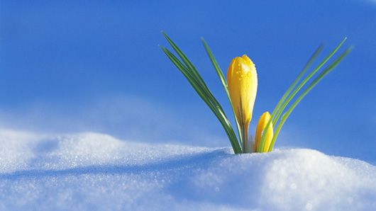 Господнє Стрітення: українці відзначають одне з найбільших християнських свят