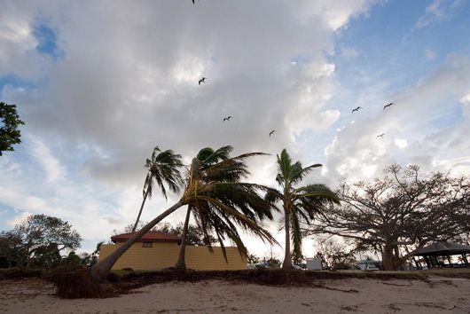 Австралія під ударом стихії: шторм «Деббі» має стати ще потужнішим