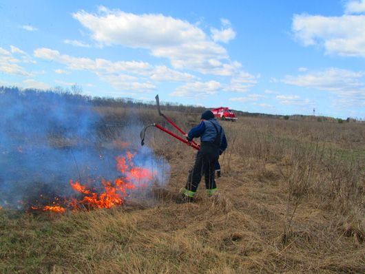 Україна у вогні: весняні підпали трави завдають непоправної шкоди країні