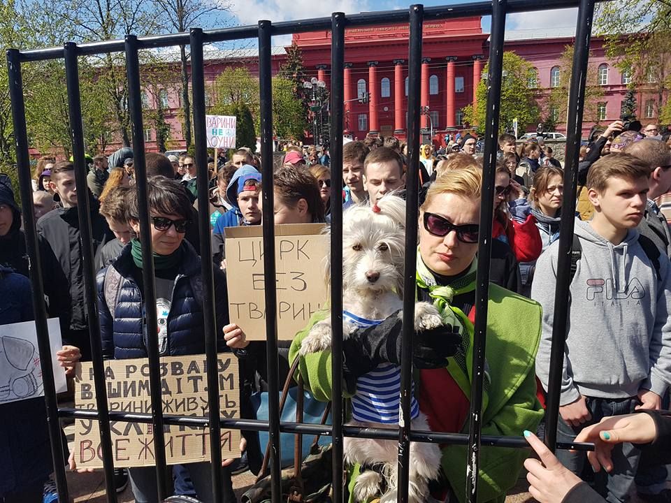 У центрі Києва протестують проти використання тварин у цирках (фото)
