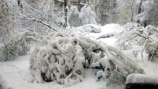 Снігопади, холод і повалені дерева: як зима раптово атакувала Україну в квітні