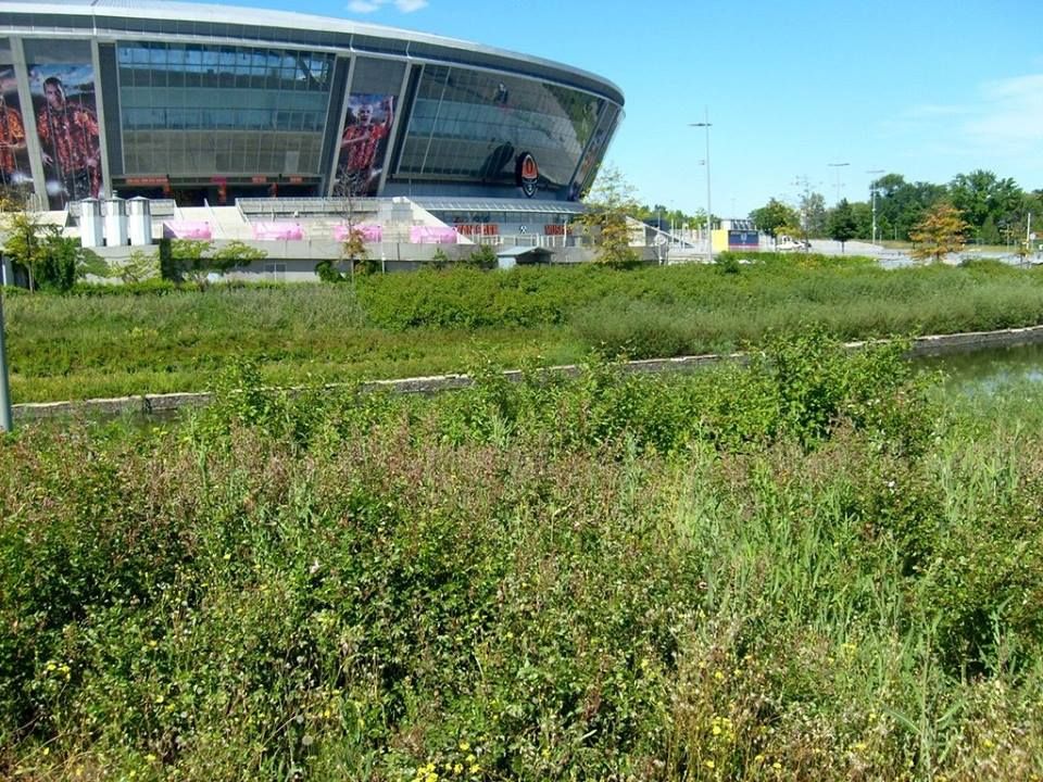 Донбас Арена заросла бур’яном (фото)