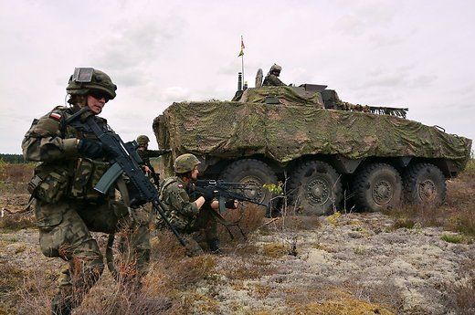 У Литві стартували міжнародні навчання "Залізний Вовк"