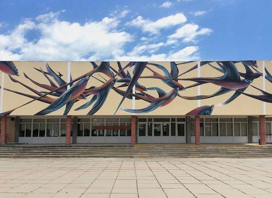 Художник iз Португалії подарував Черкасам перший у місті мурал
