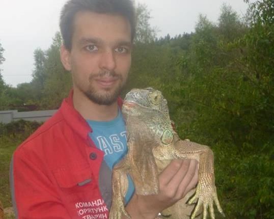 В селі Крушинка на Київщині спіймали ігуану, яка поїла на городі кабачки