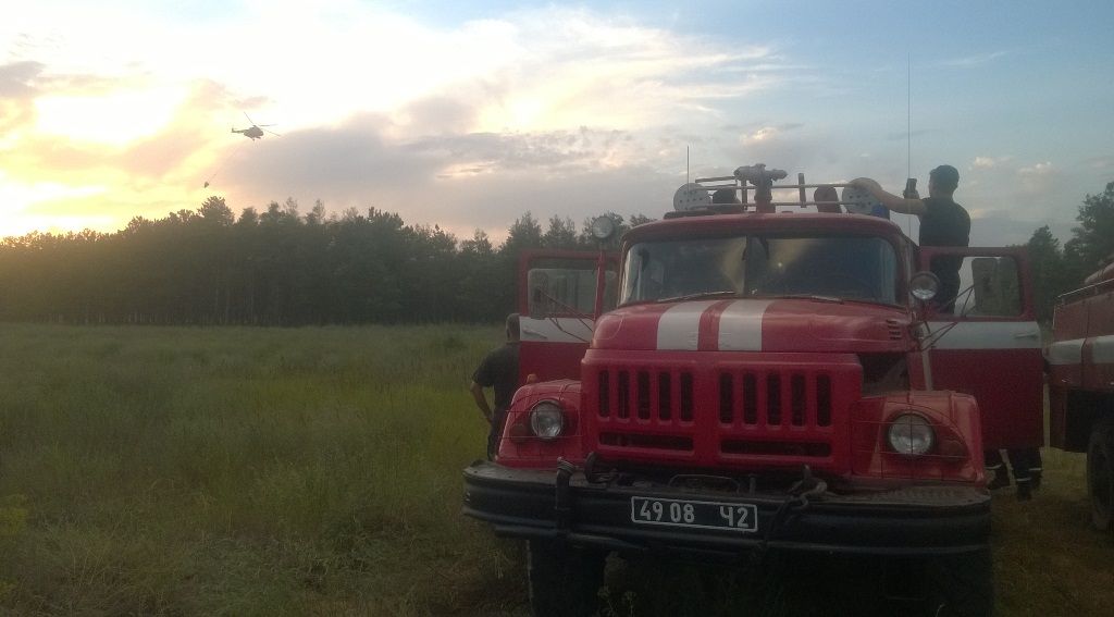 На Херсонщині горить 40 гектарів лісу