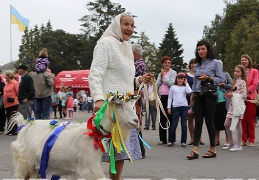 У Тернопільській області на фестивалі «Коза-Фест» обрали рогату «міс»
