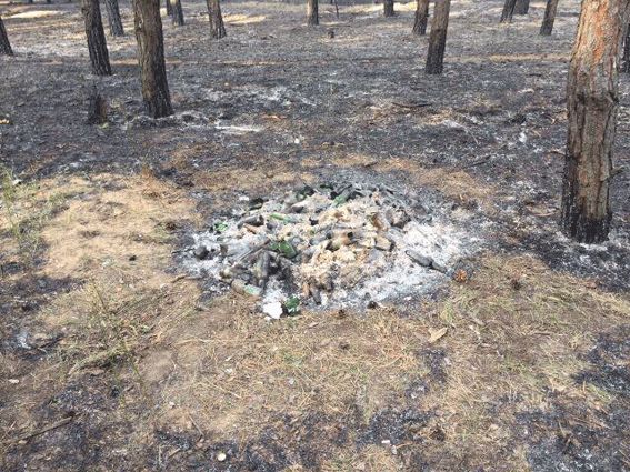 У Миколаєві затримали двох молодиків, що спровокували пожежу в лісі