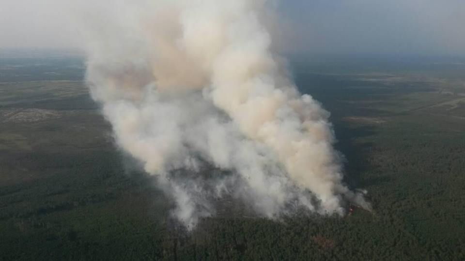 У Житомирській області горить 120 гектарів заповідника (фото)