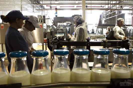 Уже 18 українських заводів експортують «молочку» на європейський ринок