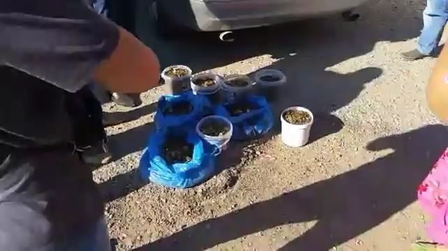 Зарема Умерова із Бахчисараю зібрала 140 кілограм монет, щоб сплатити штраф за проукраїнські пости в соцмережах