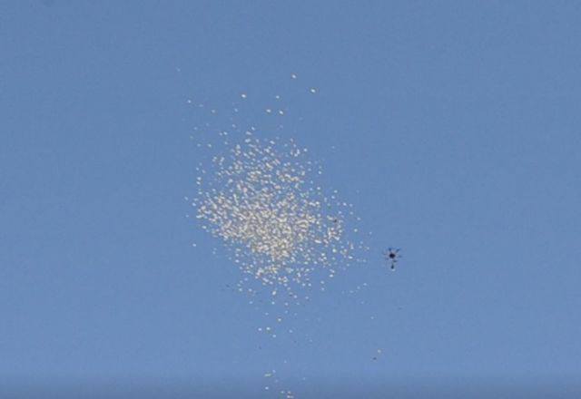 У Черкасах на День міста на голови людей посипалися мічені гроші