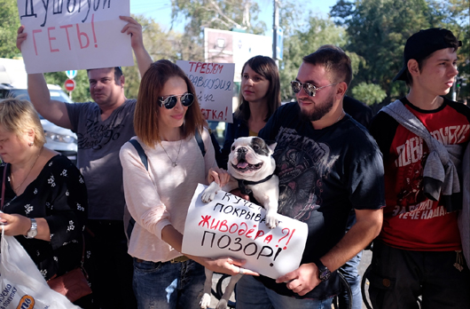 Радикали підтримали зоозахиснків у боротьбі за покарання шкуродера Святогора