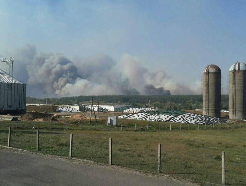 На Харківщині горіло Красноградське лісництво (фото)